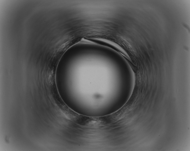 X0000091700364200708311058
