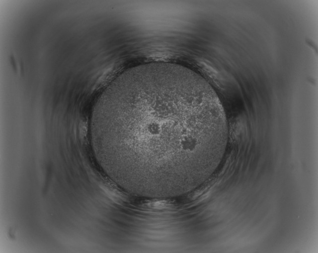X0000091700365200708311058