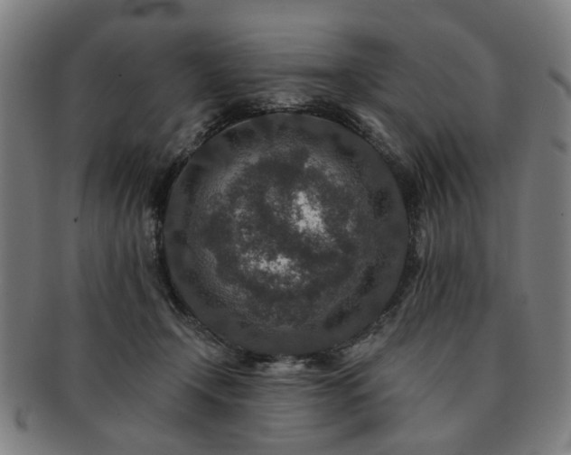 X0000091700366200708311058