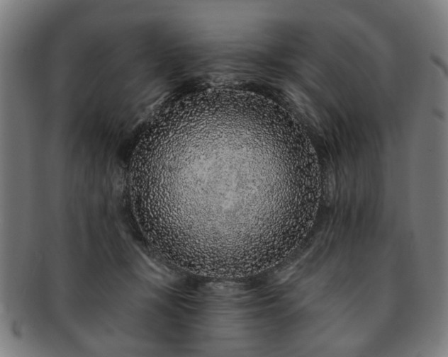 X0000091700367200708311058