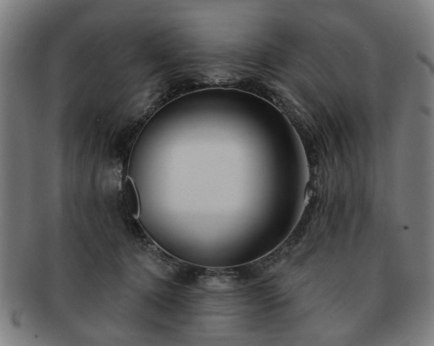 X0000091700368200708311058