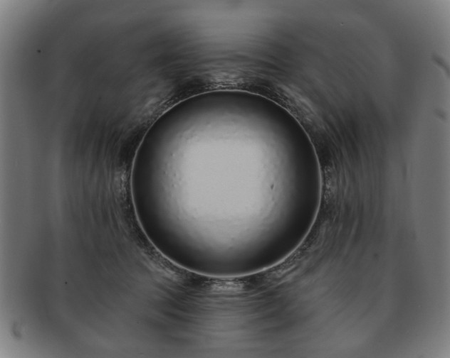 X0000091700369200708311058