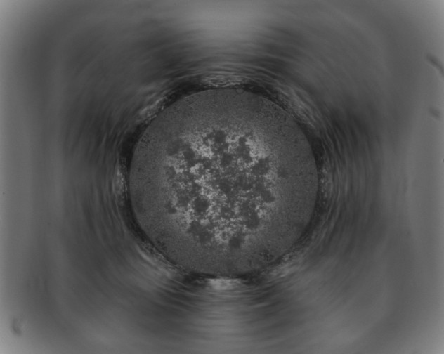 X0000091700371200708311058
