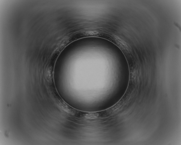 X0000091700373200708311058