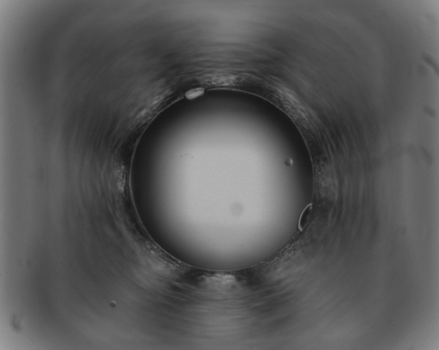 X0000091700374200708311058