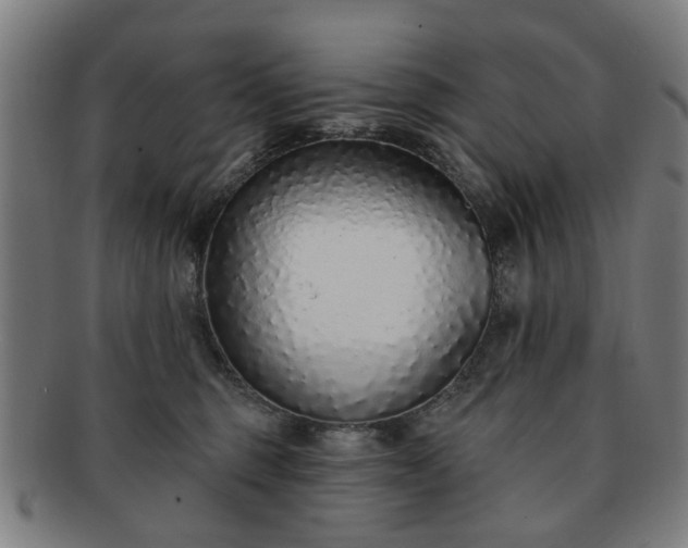 X0000091700375200708311058