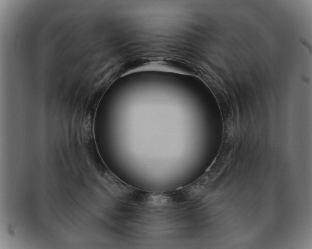 X0000091700376200708311058