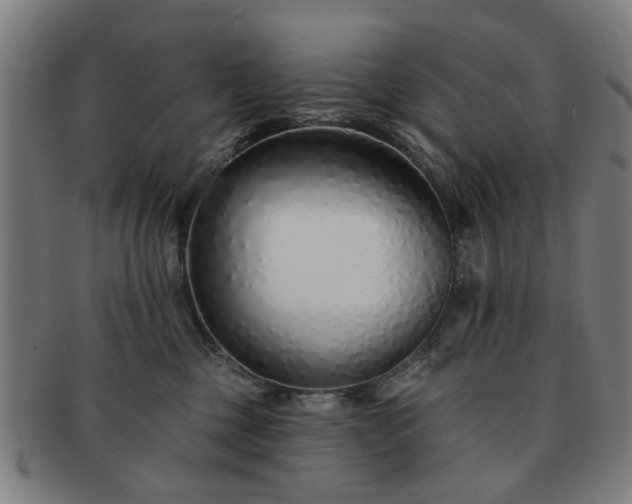 X0000091700377200708311058