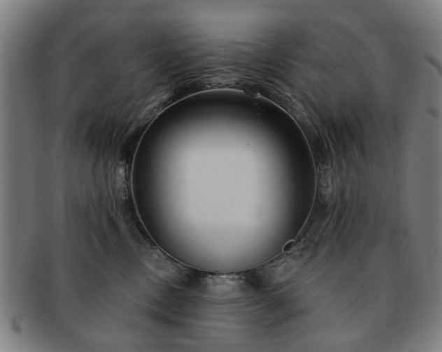X0000091700378200708311058