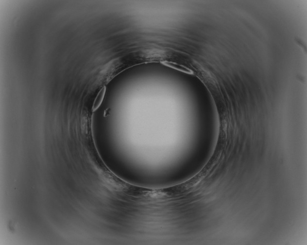 X0000091700379200708311058