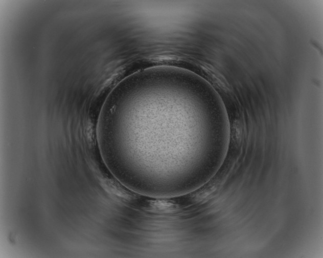 X0000091700380200708311058