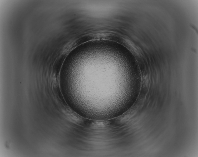 X0000091700381200708311058