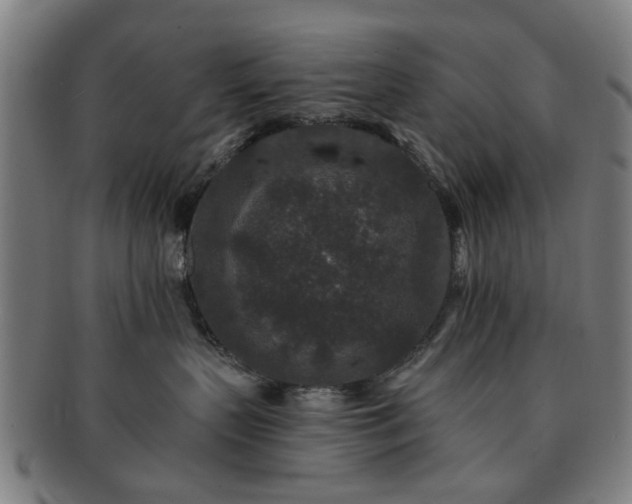 X0000091700383200708311058