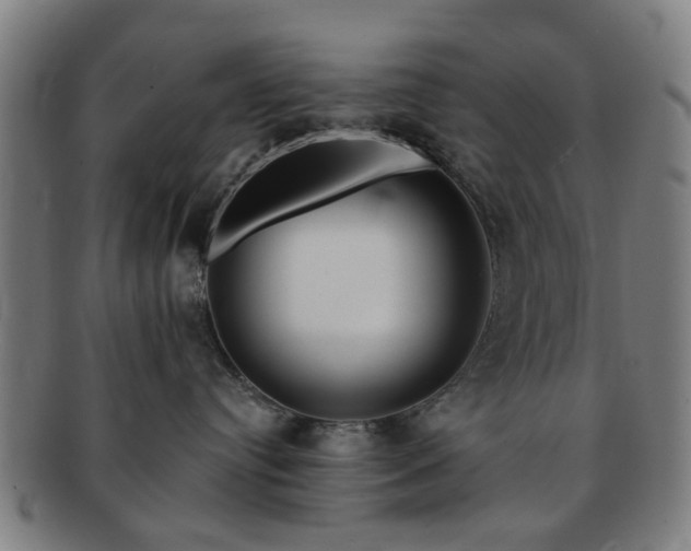 X0000091700384200708311058