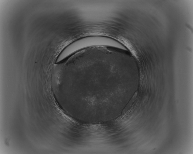 X0000091700385200708311058