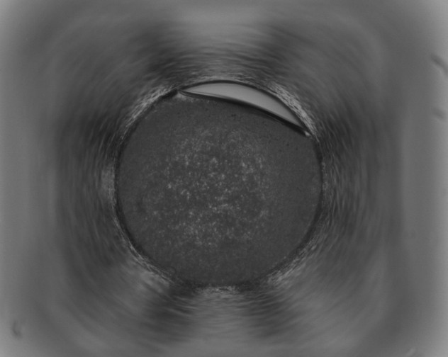 X0000091700386200708311058