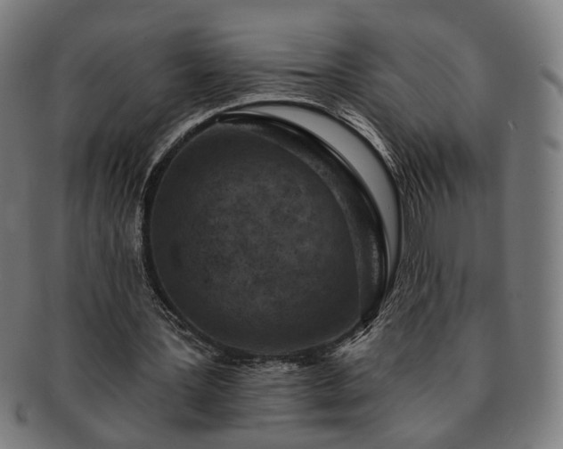 X0000091700387200708311058