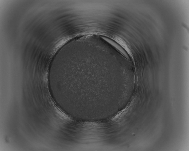 X0000091700389200708311058
