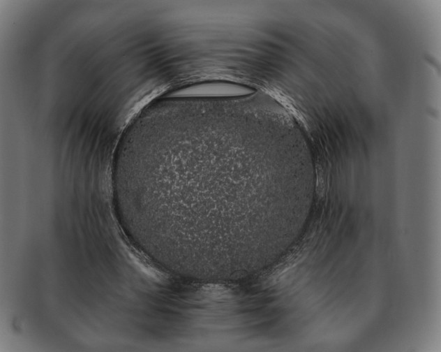 X0000091700390200708311058