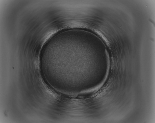 X0000091700391200708311058