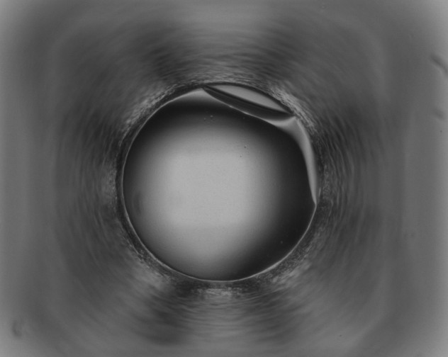 X0000091700394200708311058