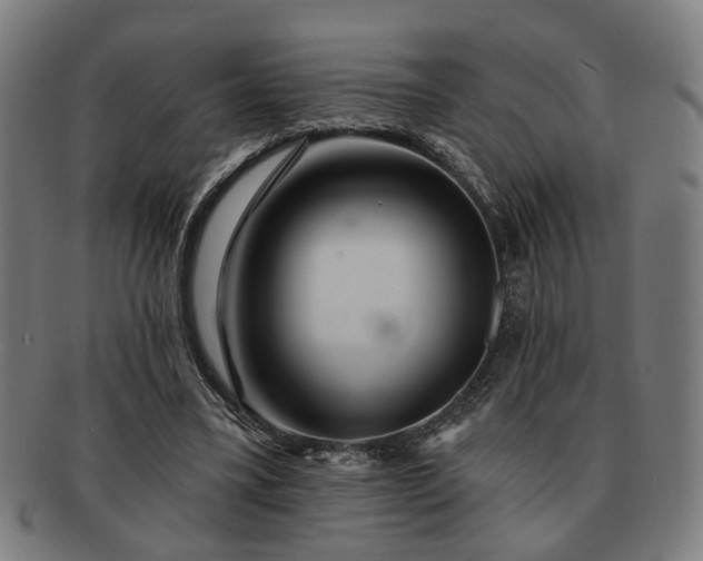 X0000091700395200708311058