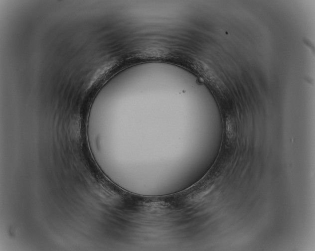 X0000091700396200708311058