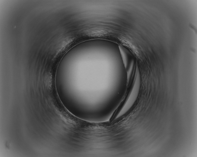 X0000091700400200708311058
