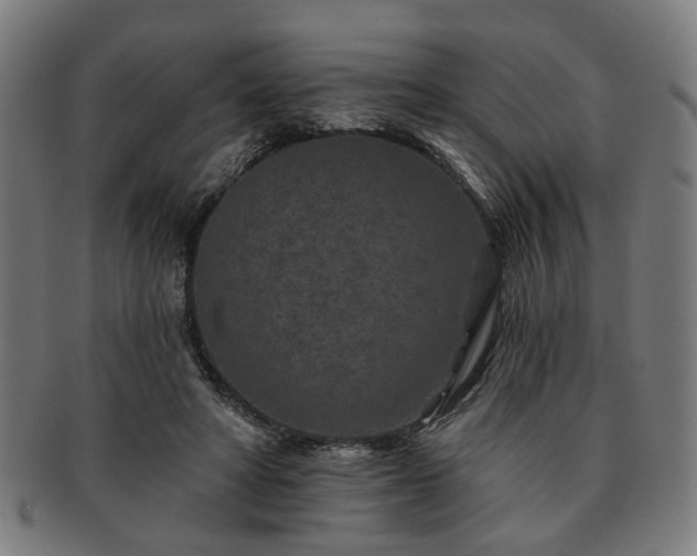 X0000091700402200708311058