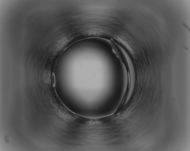 X0000091700403200708311058