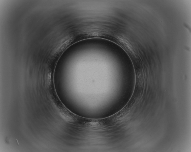 X0000091700406200708311058