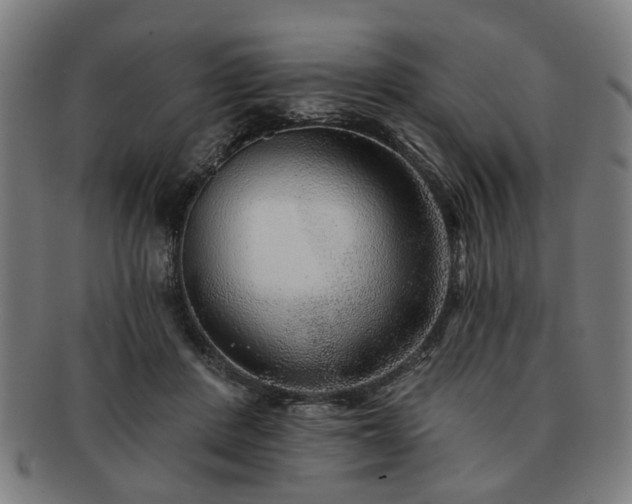 X0000091700408200708311057