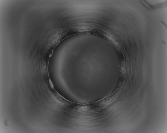 X0000091700411200708311057