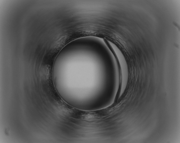 X0000091700412200708311057