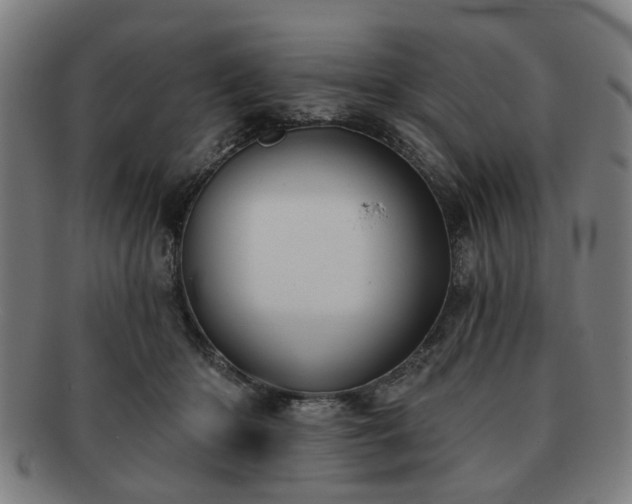 X0000091700414200708311057