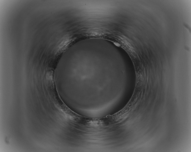 X0000091700415200708311057