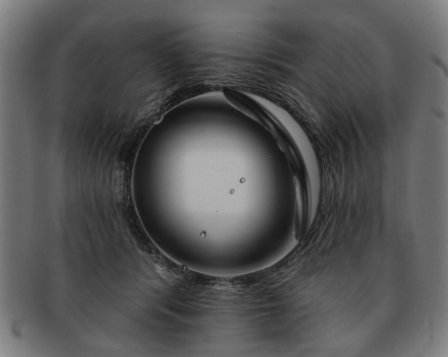 X0000091700416200708311057