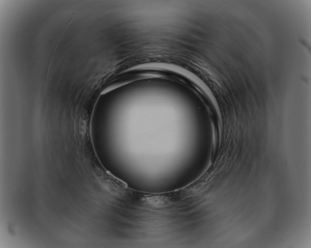 X0000091700417200708311057