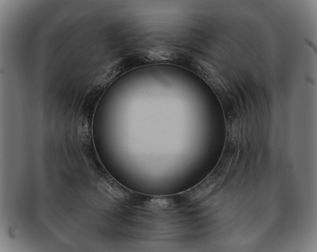 X0000091700418200708311057