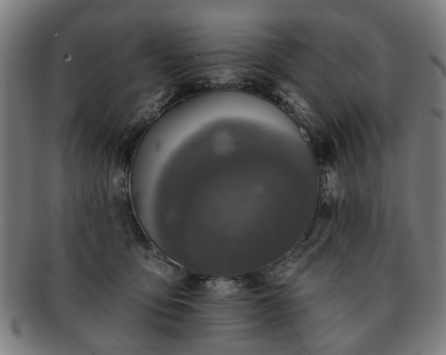 X0000091700419200708311057