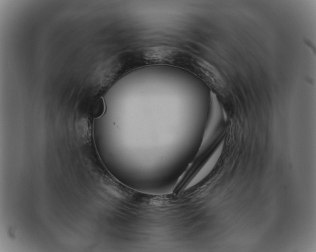 X0000091700420200708311057