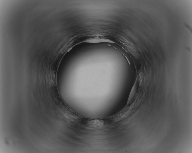 X0000091700421200708311057