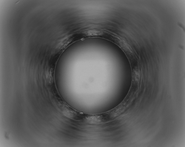 X0000091700422200708311057