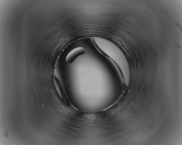 X0000091700423200708311057