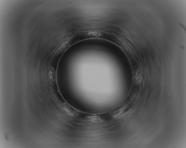X0000091700424200708311057