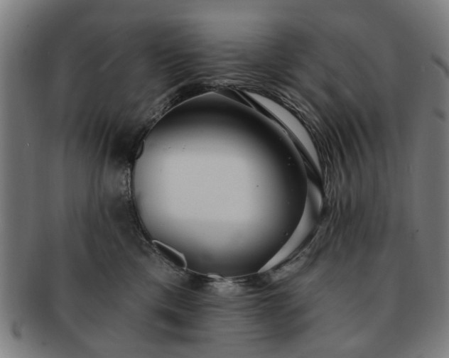 X0000091700425200708311057