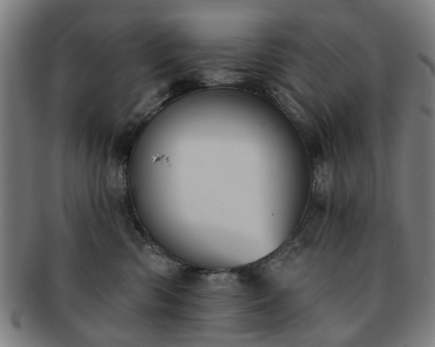 X0000091700426200708311057