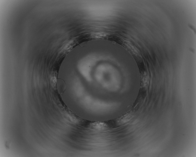 X0000091700427200708311057
