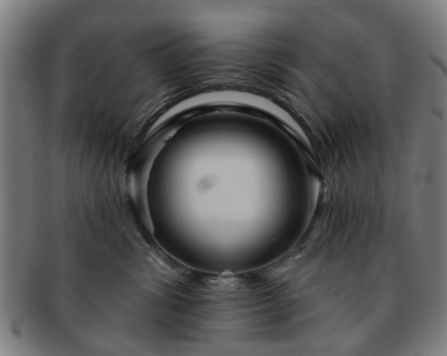X0000091700428200708311057