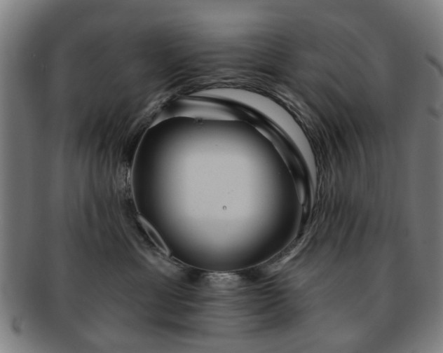 X0000091700429200708311057
